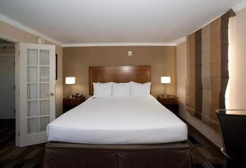 エクゼクティブスイート, Executive Suites