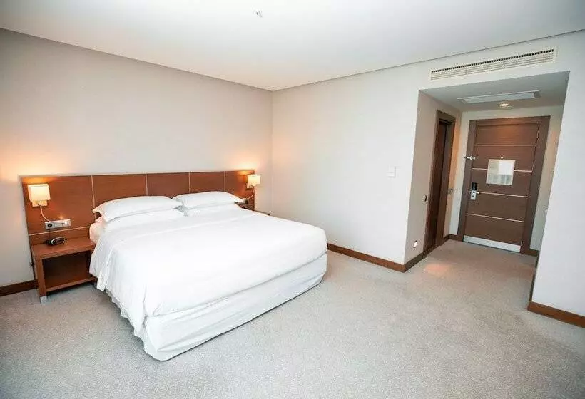 اتاق کلاسیک با تخت دونفره, Fly Inn Baku