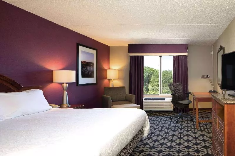 キングサイズベッドのスタンダードルーム, Hilton Garden Inn Auburn Riverwatch