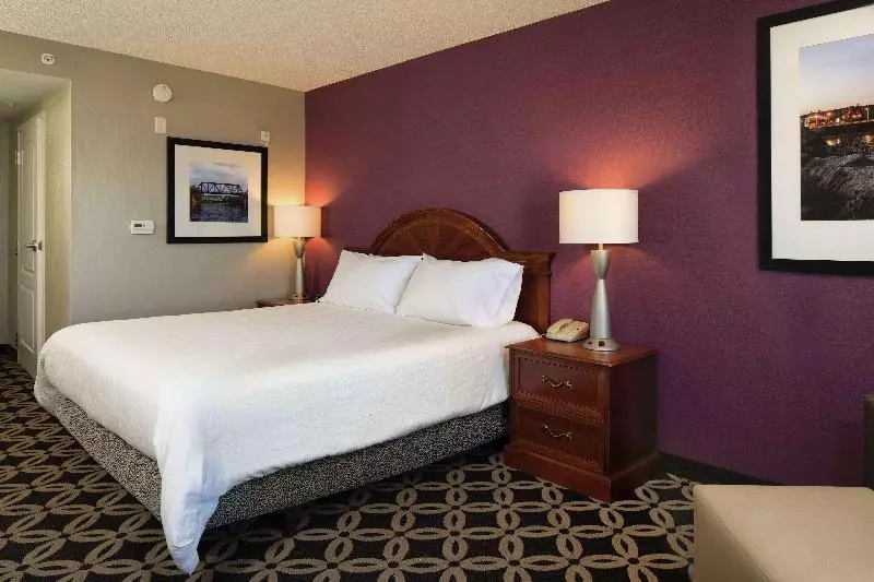 キングサイズベッドのスタンダードルーム, Hilton Garden Inn Auburn Riverwatch