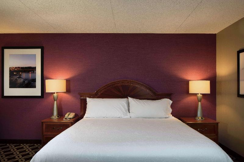 Стандартный Номер Кровать Кинг, Hilton Garden Inn Auburn Riverwatch