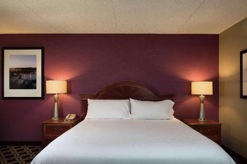 キングサイズベッドのスタンダードルーム, Hilton Garden Inn Auburn Riverwatch