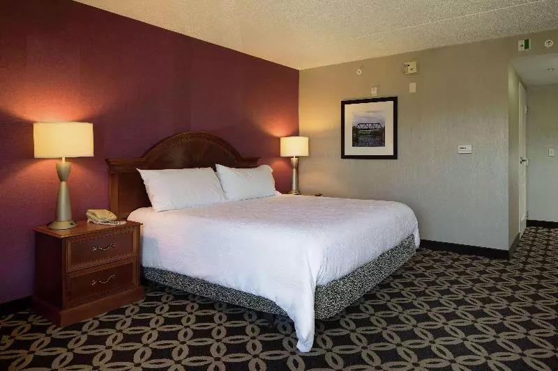 キングサイズベッドのスタンダードルーム, Hilton Garden Inn Auburn Riverwatch
