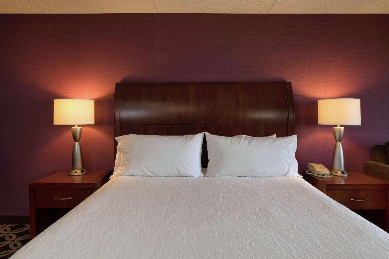 Стандартный Номер Кровать Кинг, Hilton Garden Inn Auburn Riverwatch