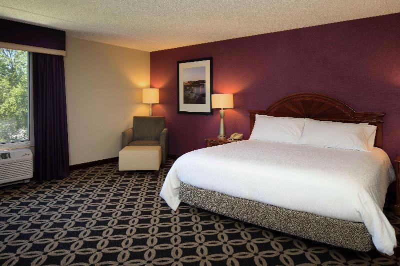 غرفة قياسية سرير كينج, Hilton Garden Inn Auburn Riverwatch