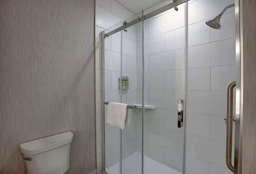 スイート, Holiday Inn Express Airport Calgary, An Ihg