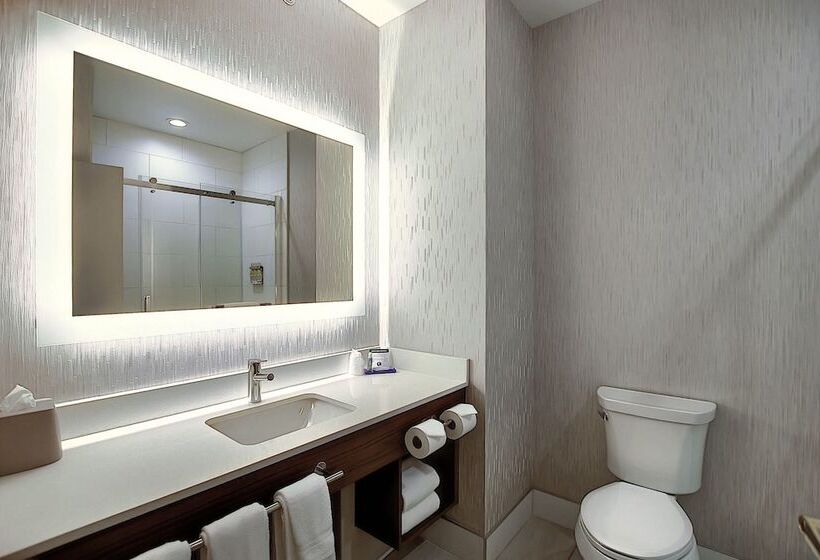 スイート, Holiday Inn Express Airport Calgary, An Ihg