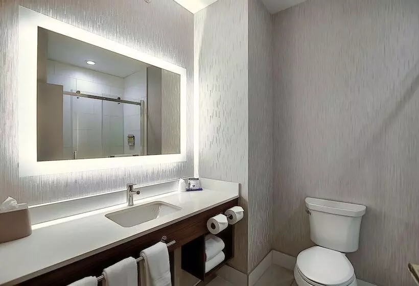 スイート, Holiday Inn Express Airport Calgary, An Ihg