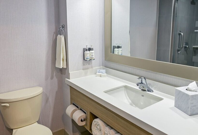 اتاق استاندارد با 2 تخت دوبل, Holiday Inn Express Chihuahua, An Ihg