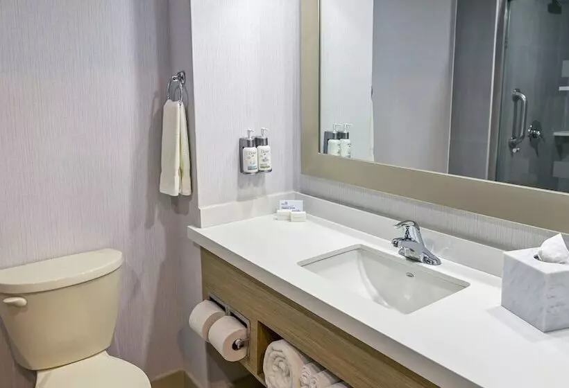 اتاق استاندارد با 2 تخت دوبل, Holiday Inn Express Chihuahua, An Ihg