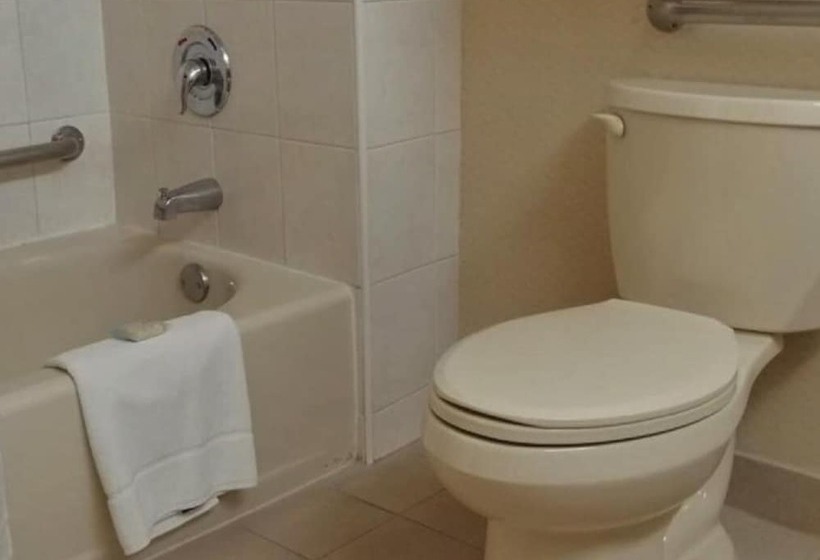 اتاق استاندارد با 2 تخت دوبل, Holiday Inn Express Chihuahua, An Ihg