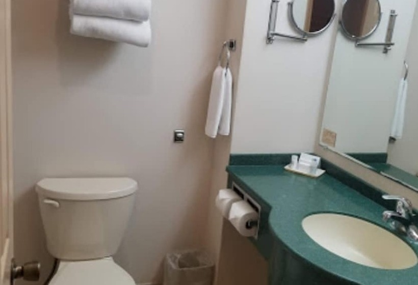 Standart Oda, Holiday Inn Express Chihuahua, An Ihg