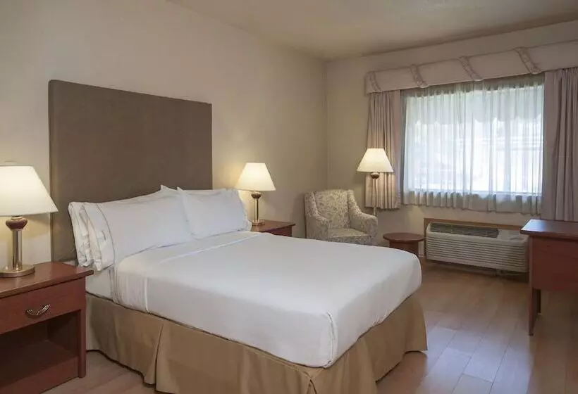 اتاق استاندارد, Holiday Inn Express Chihuahua, An Ihg