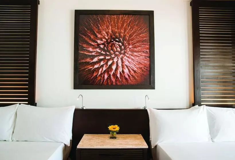 マスタールーム, Hyatt Ziva Los Cabos  All Inclusive