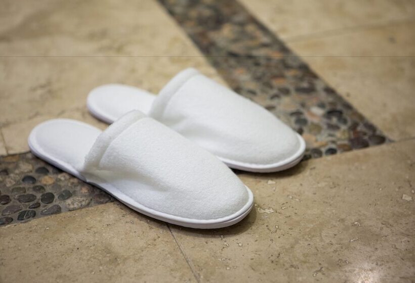 套房, Hyatt Ziva Los Cabos  All Inclusive