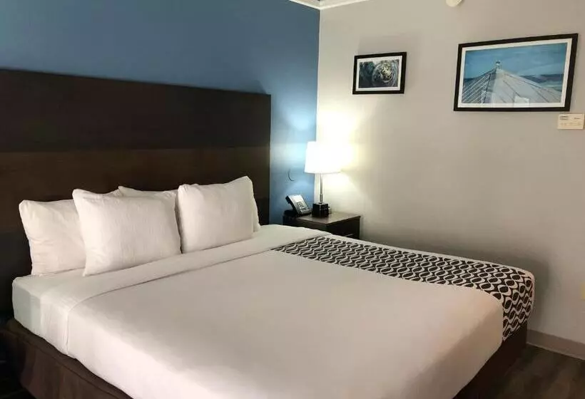 اتاق اجرایی با تخت بزرگ, La Quinta By Wyndham Pcb Coastal Palms