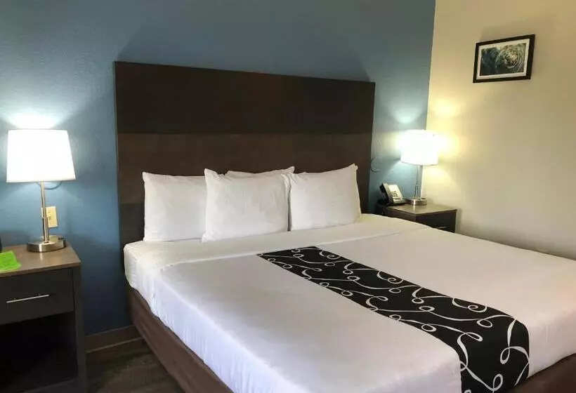 اتاق استاندارد با تخت بزرگ, La Quinta By Wyndham Pcb Coastal Palms