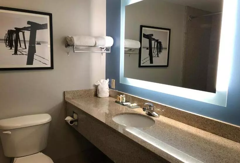اتاق استاندارد با تخت بزرگ, La Quinta By Wyndham Pcb Coastal Palms