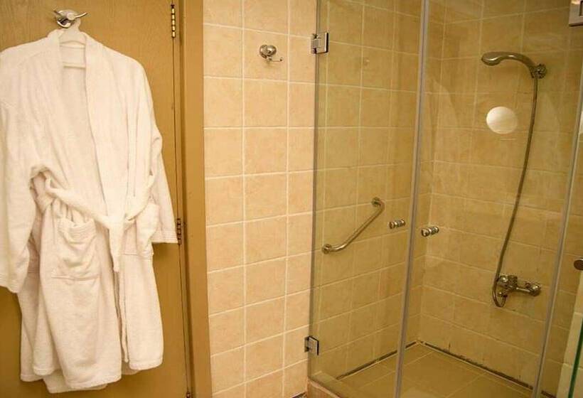 اتاق استاندارد با چشمانداز باغ, Tropitel Dahab Oasis