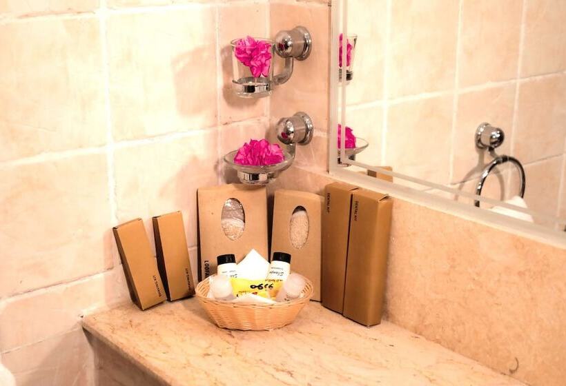 اتاق اساندارد با چشمانداز جانبی به دریا, Tropitel Dahab Oasis