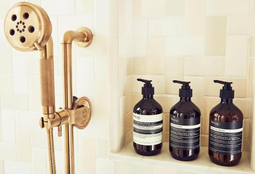 适合残疾人使用的标准间, Venice V