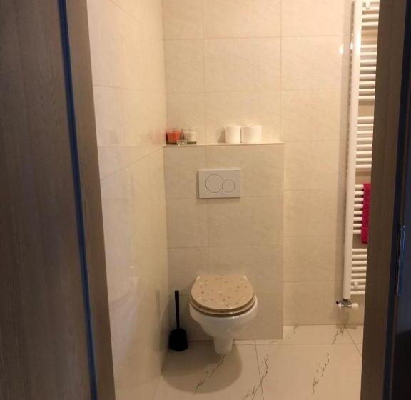 جناح ديلوكس, Penzion Lednice