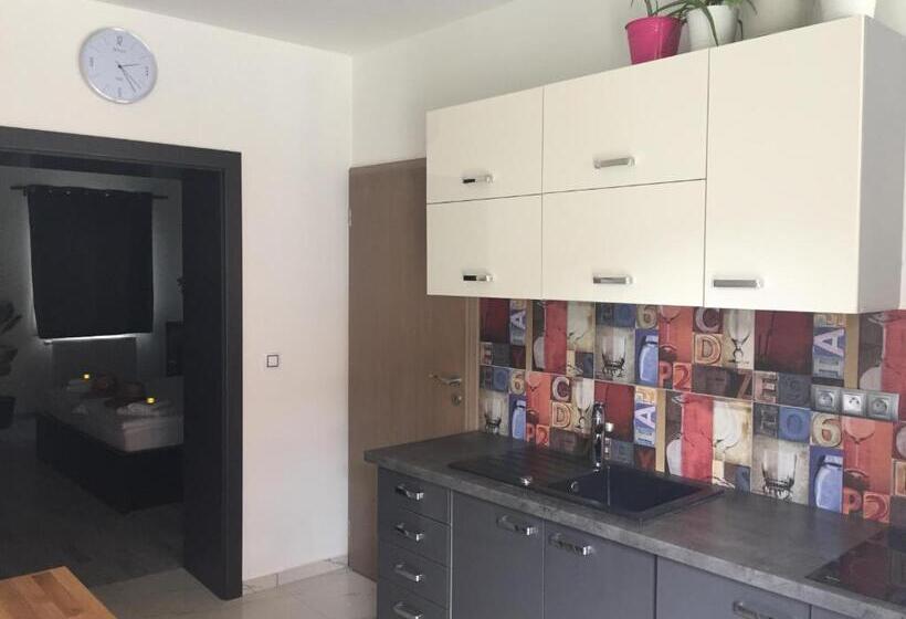 جناح ديلوكس, Penzion Lednice