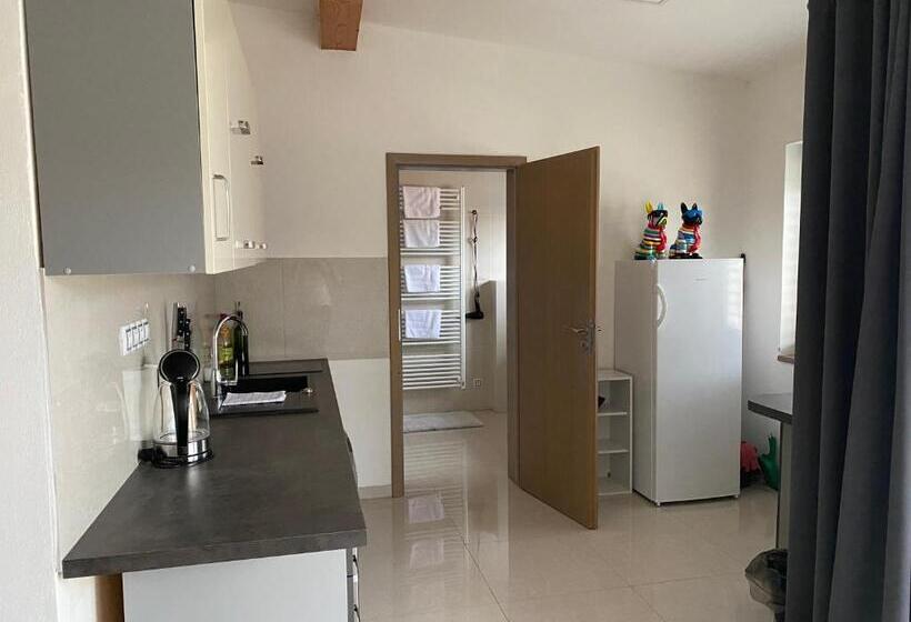 带1个卧室的公寓, Penzion Lednice