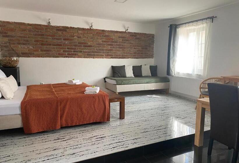 جناح ديلوكس, Penzion Lednice