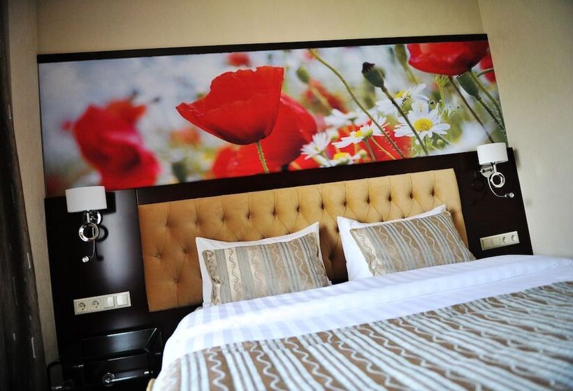 اتاق استاندارد, Kazzhol  Almaty