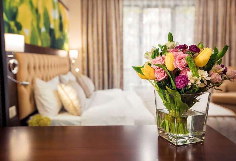 سوییت جونیور, Kazzhol  Almaty