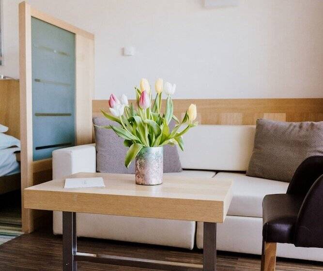 اتاق استاندارد, Lac Salin Spa & Mountain Resort