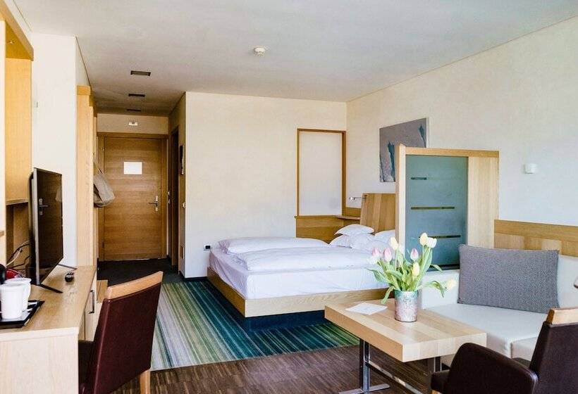 اتاق استاندارد, Lac Salin Spa & Mountain Resort