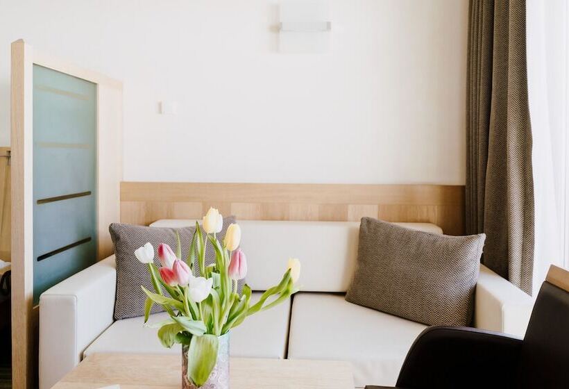 اتاق سوپریور, Lac Salin Spa & Mountain Resort