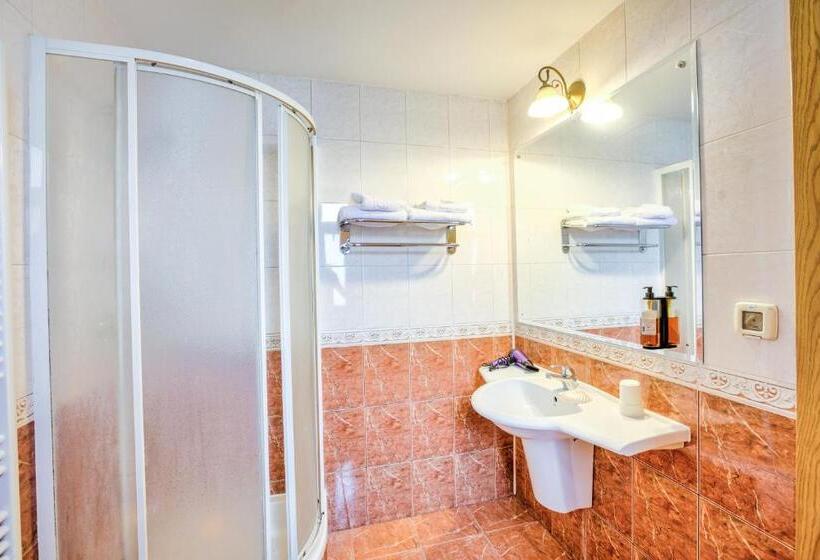 스탠다드 룸, Pensiunea Ambient