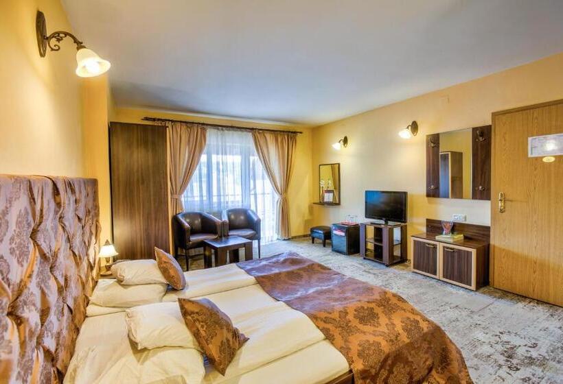 스탠다드 룸, Pensiunea Ambient