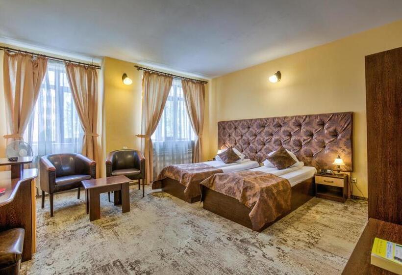 스탠다드 룸, Pensiunea Ambient