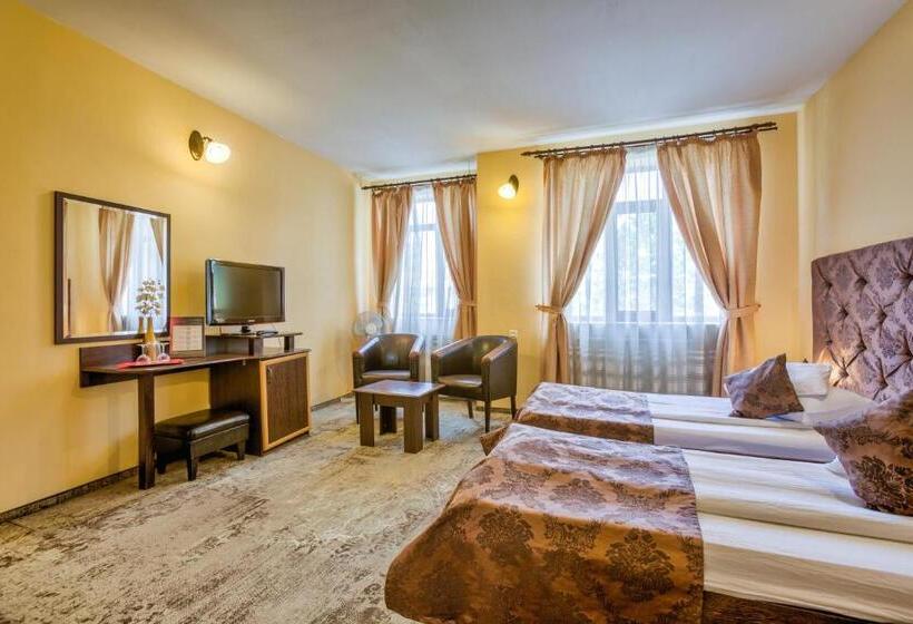 스탠다드 룸, Pensiunea Ambient