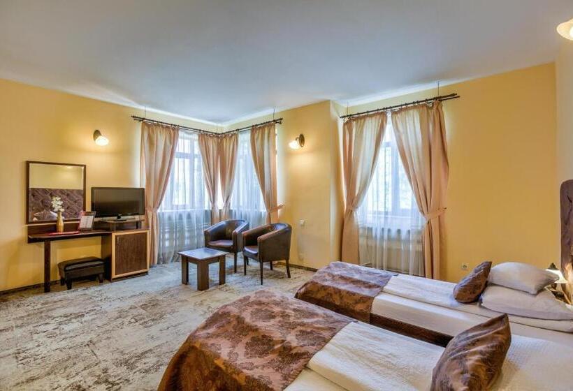 스탠다드 룸, Pensiunea Ambient