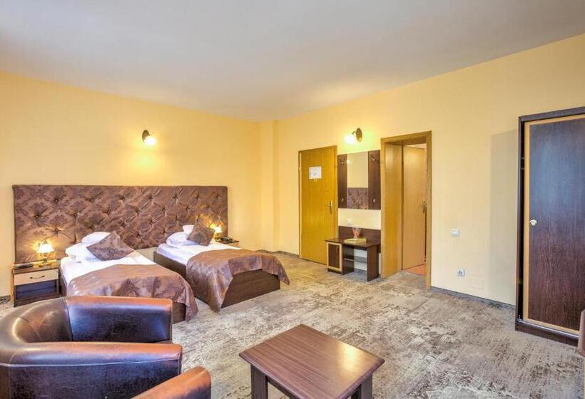 스탠다드 룸, Pensiunea Ambient