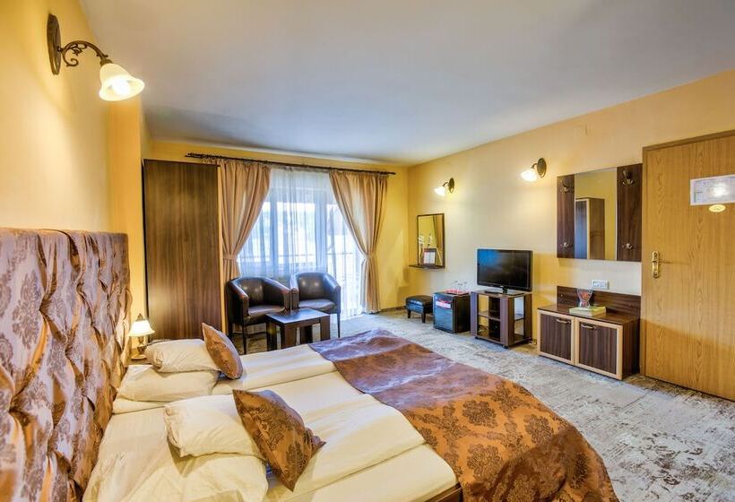 스탠다드 룸, Pensiunea Ambient