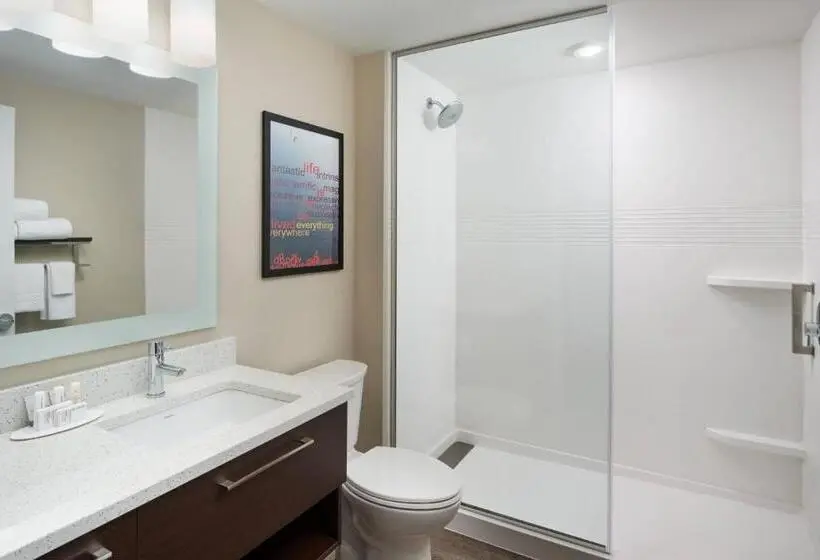 キングサイドベッドのスタンダードワンルーム, Towneplace Suites By Marriott Leesburg