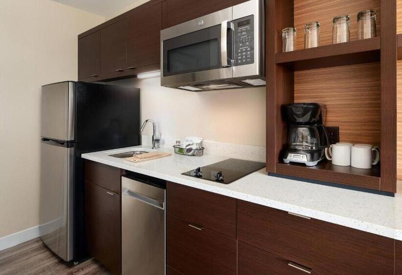 إستوديو قياسى سرير كينج, Towneplace Suites By Marriott Leesburg