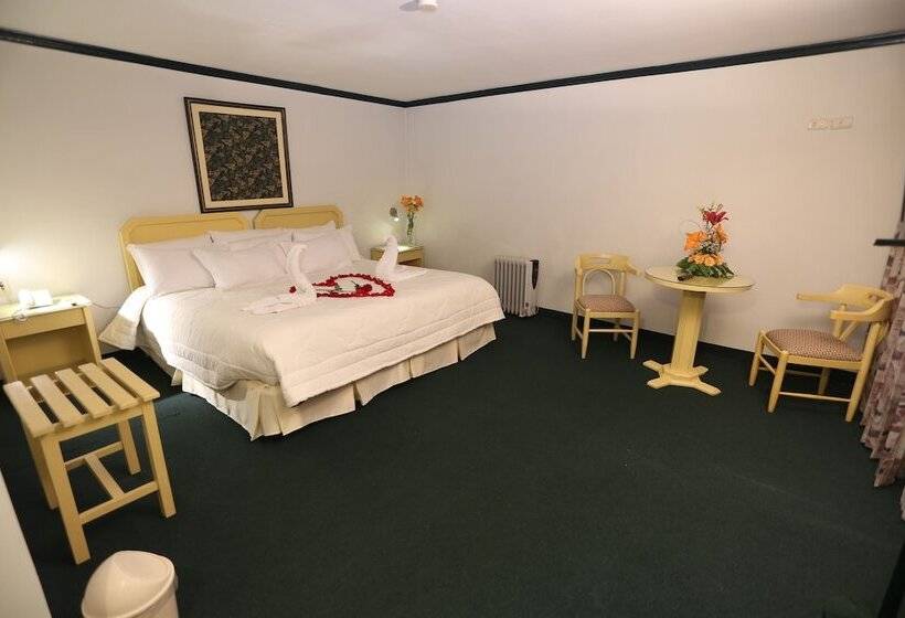 Номер Стандарт, Plaza Mayor