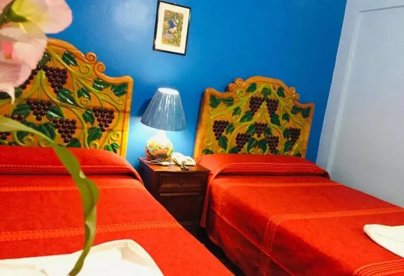 اتاق استاندارد با 2 تخت دوبل, Cazomalli Oaxaca