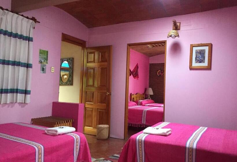 Семейный Номер, Cazomalli Oaxaca