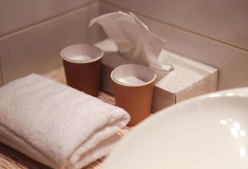 Номер Стандарт, Ibis Styles Le Puy En Velay