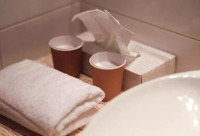 اتاق استاندارد یک نفره, Ibis Styles Le Puy En Velay