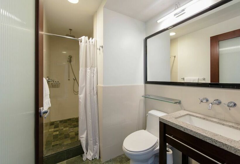 带大床的豪华间, Marriott Vacation Club®, New York City