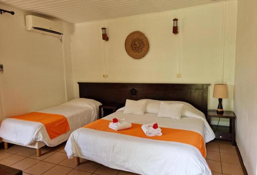 اتاق سوپریور, Oasis De Kiamu